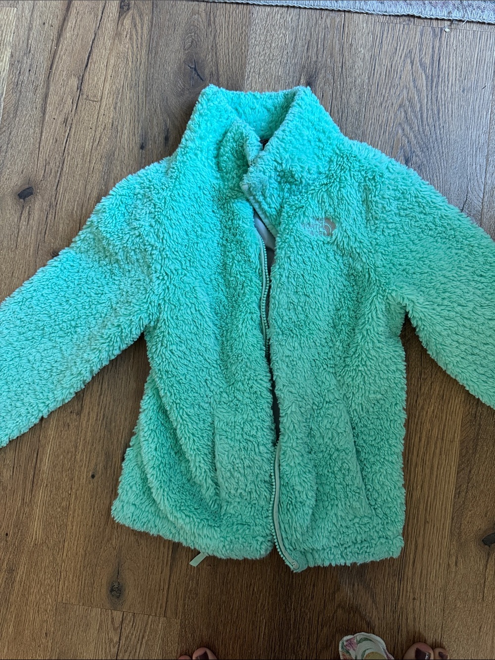 The North Face Kids Plush Jacket in Mint Green